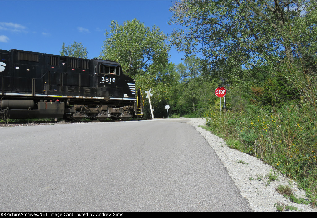 NS 3616